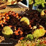 トスカーナ、栗の収穫祭