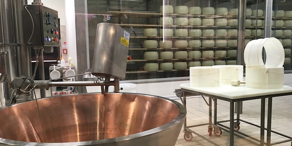 FICOチーズ工場
