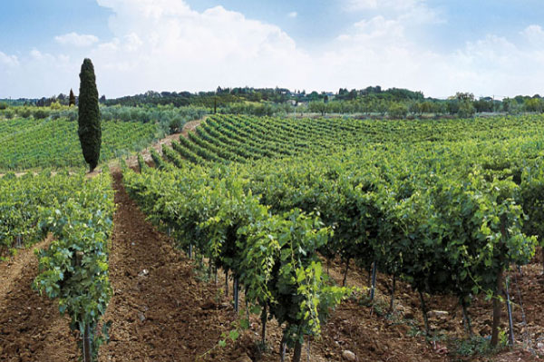 ワイナリーツアー キャンティクラシコ モンタルチーノ