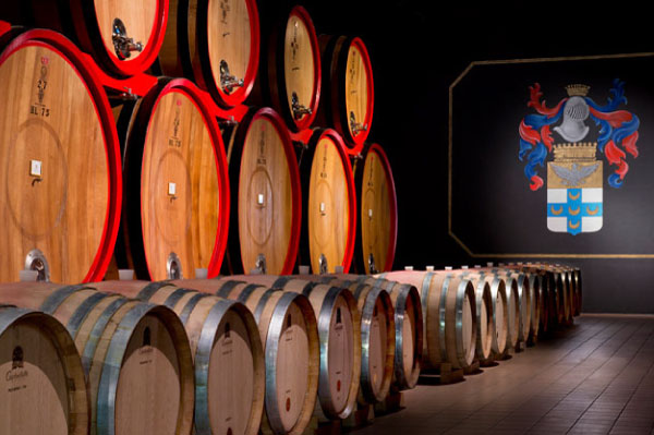 モンタルチーノワイナリーツアー チャッチピッコローミニ