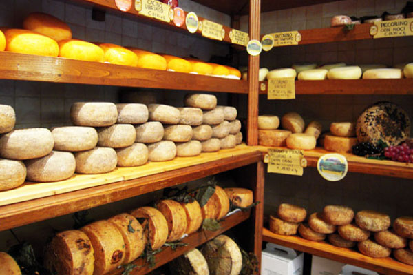 ワイナリーツアー モンタルチーノとチーズ