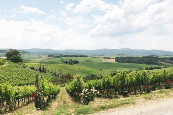 ワイナリーツアー モンタルチーノ カパルツォ
