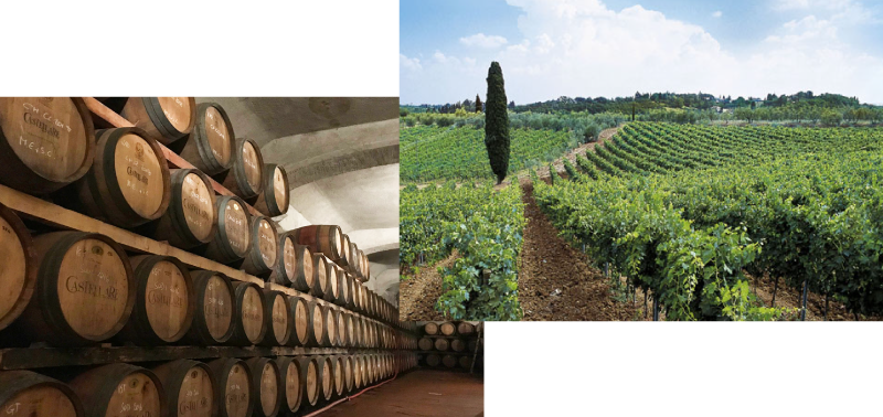 ワイナリーツアーイメージ画像